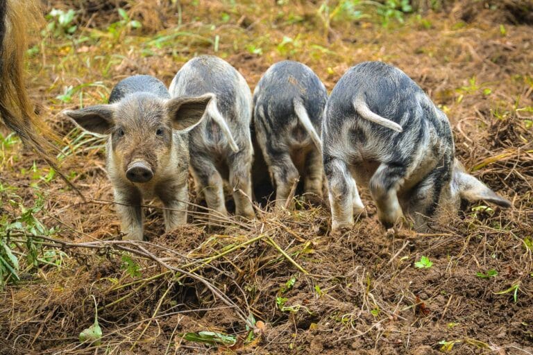 463307700_7656629511040104_3544154011821719873_n