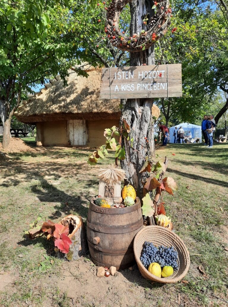 472303136_607311131808447_5379444530663088427_n