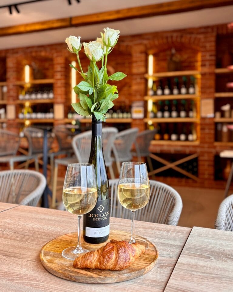 481674132_122194092704248007_3410467934765171718_n