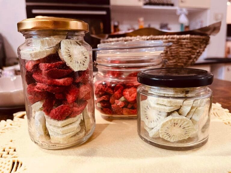 484482753_2409839142688045_7942267741614302122_n