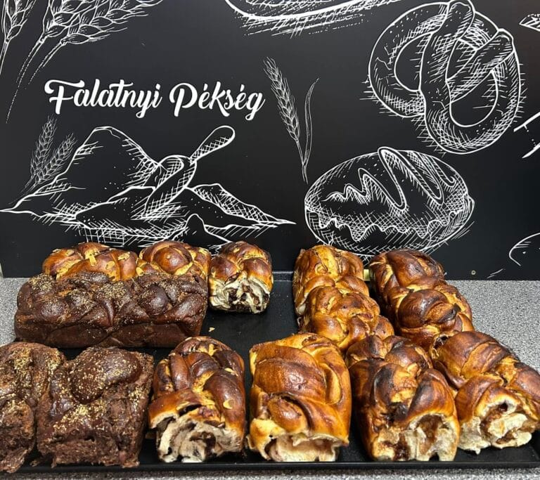 488888059_1250631503526346_3666478284402015309_n