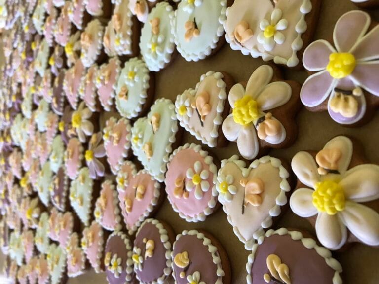 489775809_1268092628212231_6997324355892791173_n