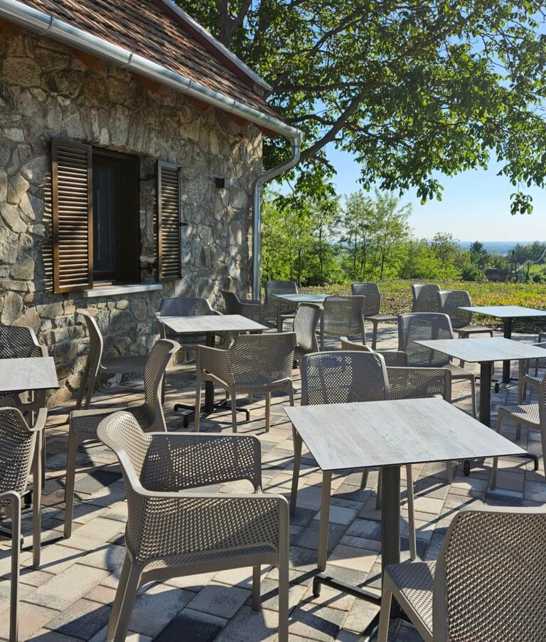 493711319_1218323126965792_6219370574012049742_n