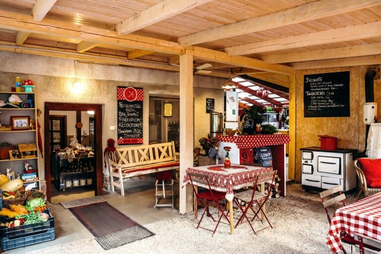 497539101_1263318629127892_5735853933113804798_n