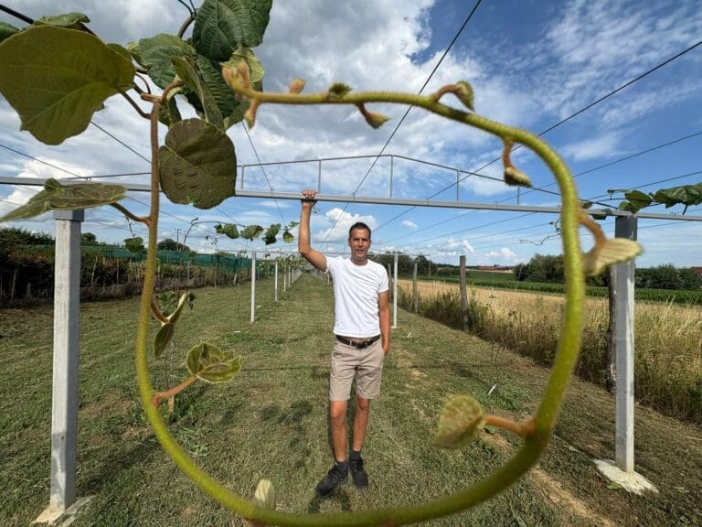 517371785_1290312926430454_8721563776415178059_n