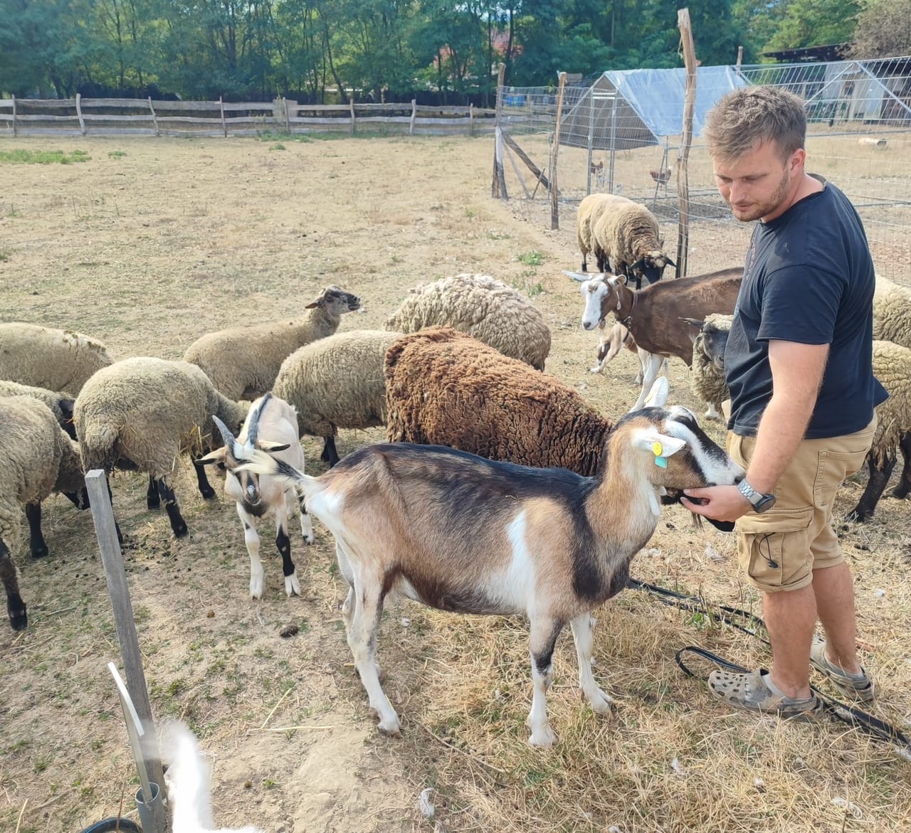 farm3